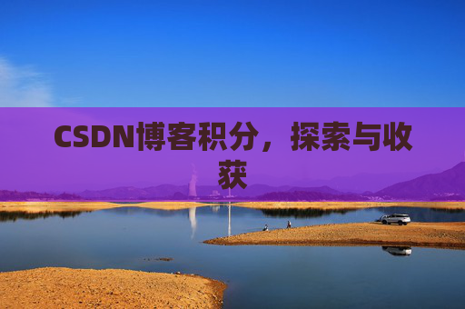 CSDN博客积分，探索与收获
